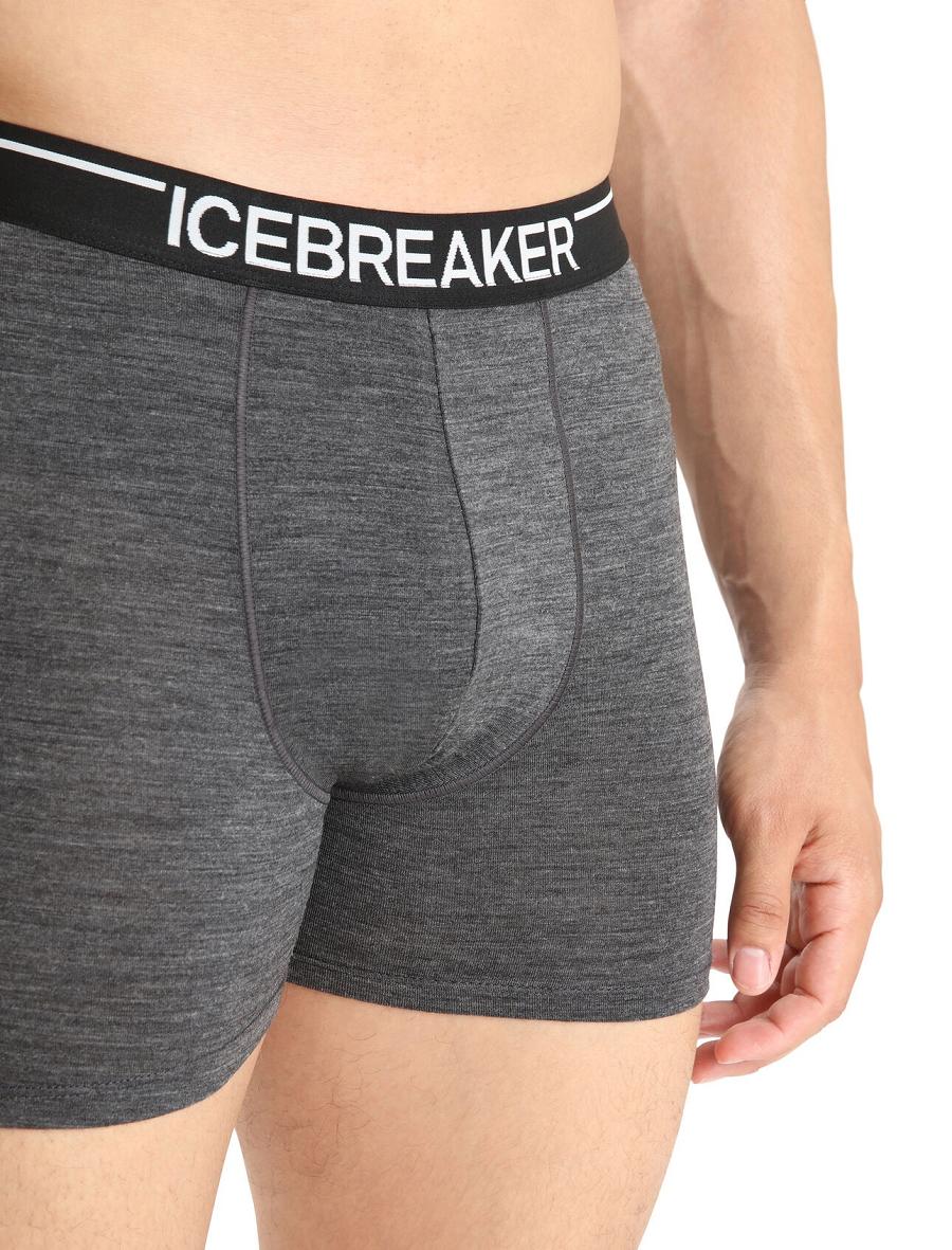 Men's Icebreaker Merino Anatomica Boxers Underwear Jet Heather | CA 1631VRWD